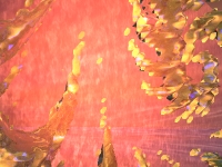 Dawn Flow - Structures like liquid crystals flow in an early dawn light - By Morecambe artist Random-Man. section 02